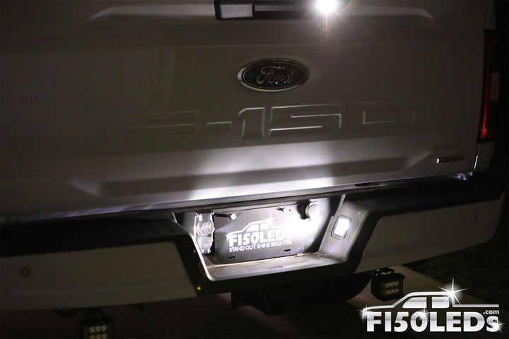 2024 F150 License Plate Tag LED Bulbs