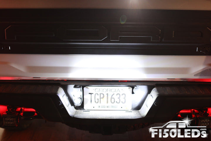 2021- 2024 F150 Raptor Tag LED Bulbs