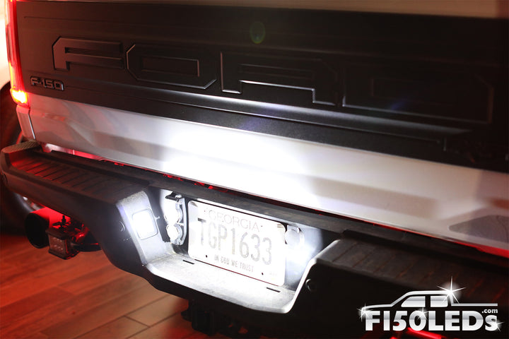 2021- 2024 F150 Raptor Tag LED Bulbs