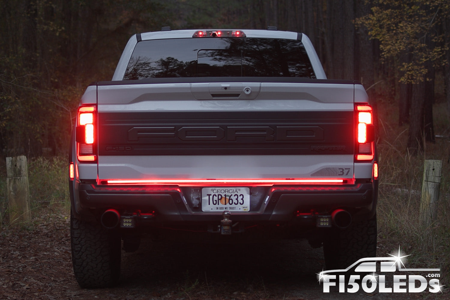 2021 - 2024 F150 Raptor Sentinel CREE LED Tailgate Bar – F150LEDs.com